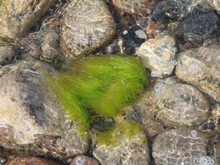 Holiday apartment with 3 bedrooms - 2