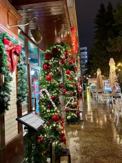 Theatre View In the heart of the city - Ultracentral Apartment Christmas Market Craiova - 9