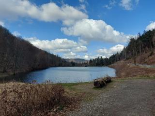 Holiday apartment in Langelsheim with Wi-Fi - 5