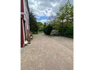 Sparrow in the house Tanneneck - 7