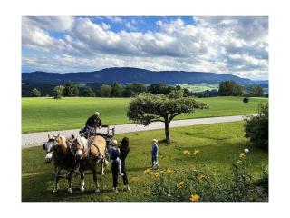 Holiday home in Weitnau with swimming pool - 6