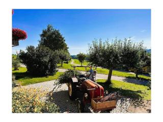 Holiday home in Weitnau with swimming pool - 4