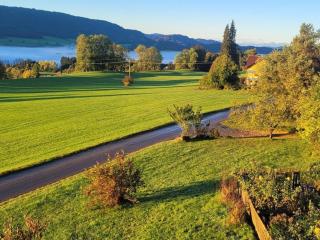 Holiday home in Weitnau with swimming pool - 5