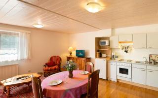 Haus Elisabeth, Appartements - Krumpendorf am Wörthersee - 3