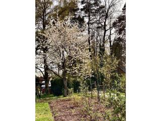 Little Heidjer House -  - 6