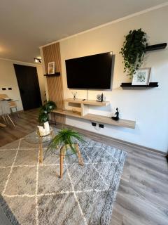 Departamento Amoblado Santiago Centro ideal para turistas o por trabajo - 4