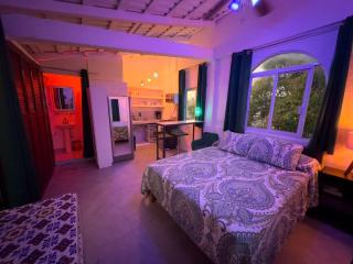 Private Roof, Studio Penthouse - 0