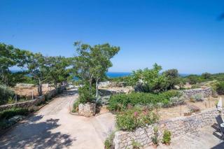 Apartments with parking space Bonic, Losinj - 23056 - 3