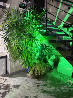 Apto surfe perto de tudo, mercado, barzinhos, farmácia, shopping - 8