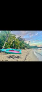 Tropical Jungle House - 7