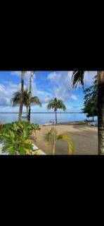 Tropical Jungle House - 0