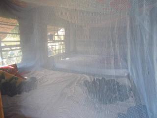 Siem Reap Tree Top Eco Lodge - 3