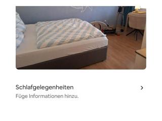 Holiday apartment in Hanau with swimming pool - Hanau am Main - 5