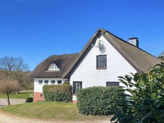 Rural idyll under thatched roof - 0