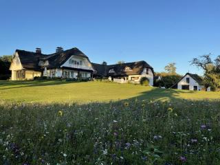 Rural idyll under thatched roof - 3