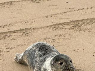 Beach villa sea time - 7