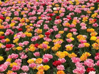 Beach villa sea time - 8