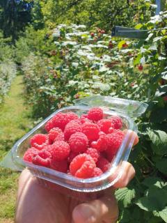 Two lakes heaven - Forest Retreat by The Mountains - 7