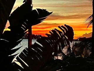 Just in paradise - 7