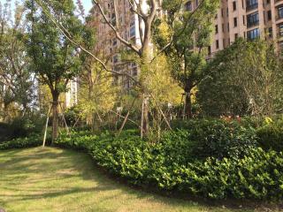 samuel apartment - Shanghai - 3