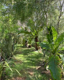 Sub-Tropical Paradise Retreat Willow Creek Cabin with Access to Sauna - 2