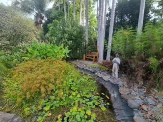 Sub-Tropical Paradise Retreat Willow Creek Cabin with Access to Sauna - 1