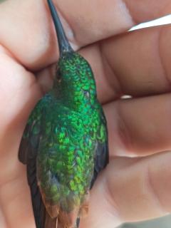 Villa Granja Agua Azul-wi-fi-AC-6 Personas-parqueo - 6