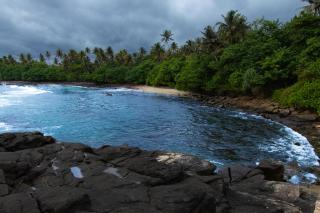 Ceylon Good Vibes Villa - 1