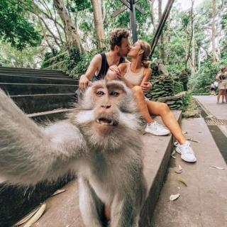 Ubud Classic Day Trip - 0