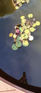 Eden on Todd River - 7