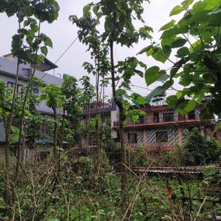 Pokhara Abroad Inn - 3