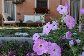 Tenuta Valtoppa - Sillavengo - 4