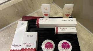 Asialink Premier - 5