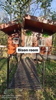 Varna Resorts and adventures - 3