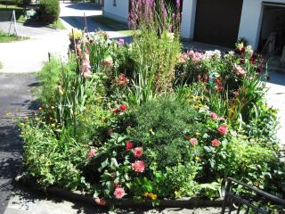 Holiday home in Ebensee with swimming pool - 7