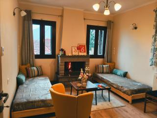 Metsovo Fireplace Retreat - 8