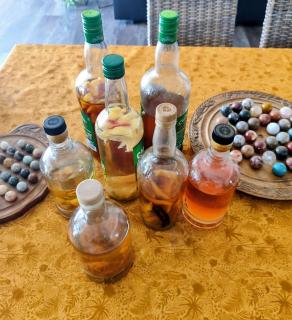 L'évidence St André - 3