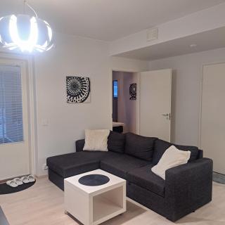 Northern Sauna apartment with heated Garage - 2