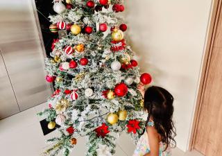 The Asher Mactan - 1