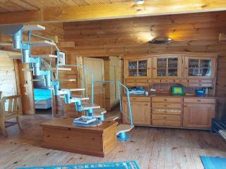 Chalet in Vosges near Ski Slopes - 1