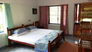 Gumnut Beach House - 7