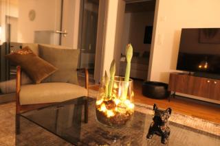 The Address near Zurich- stylish and comfortable - 5