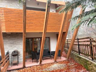 Luxury villa in Brezovica - 1