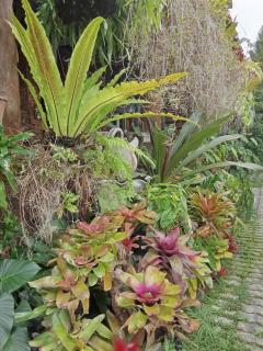 Ouychai home stay resort - 8