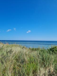 Vier Jahreszeiten 2-5 - 2