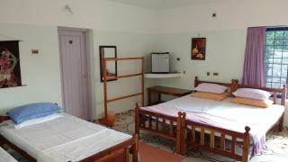 Gumnut Beach House - 3