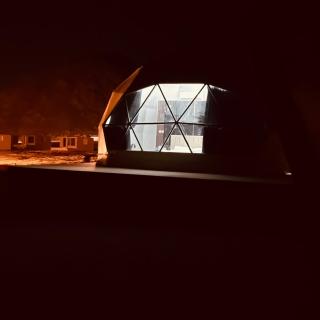 Wadi Rum Desert Life - 3