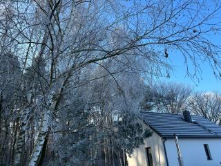 Domek Las&Luz Moszna BALIA - 5