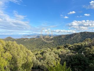 Hauteurs de Monticello Villa vue mer & piscine chauffée - 7