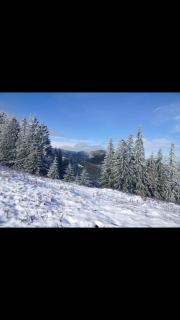 Оселя тихої долини - 2